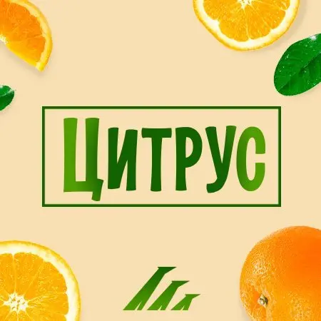 Цитрус logo