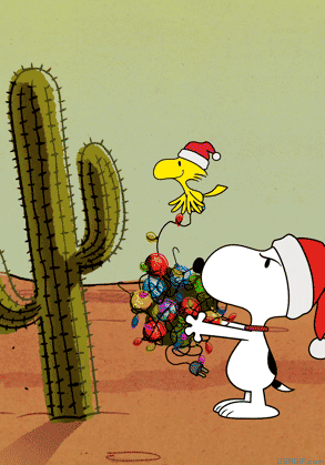 SwapMarket TEst dlinnogo preview